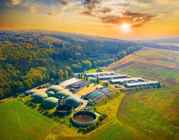 Lightspeed Bioenergy Infrastructure